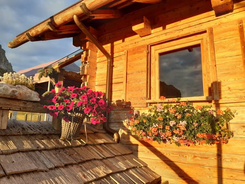 Wooden log cabin with timber pergola, hanging pink flowers and green plants on deck overlooking mountains