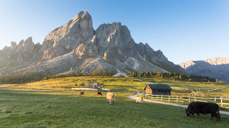 Mountain valley farm with grazing cattle, wooden fences, barn buildings, and dramatic rocky peaks at sunrise